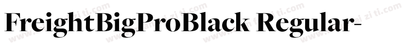 FreightBigProBlack Regular字体转换